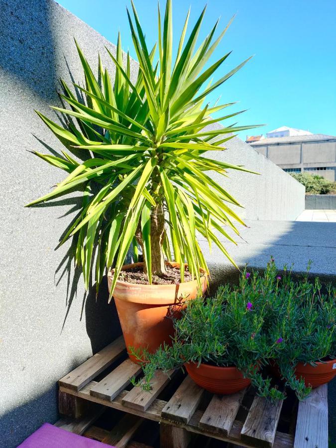 Porto Santa Catarina - Apartment With Terrace Exterior foto